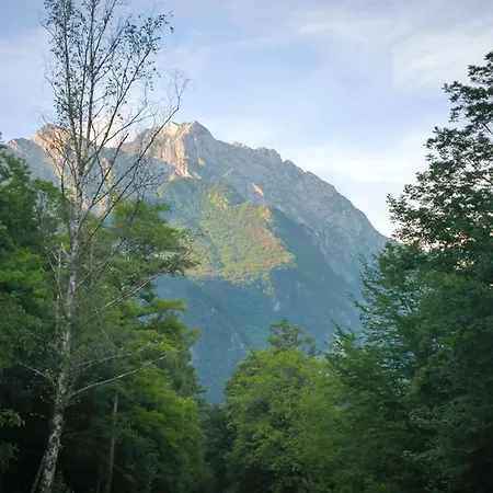 Skof's Roadside Retreat - Lägenhet Bovec