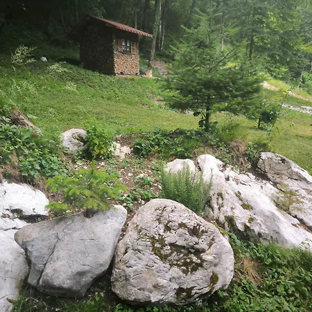 Skof's Roadside Retreat - Lägenhet