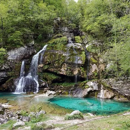 Skof's Roadside Retreat - *